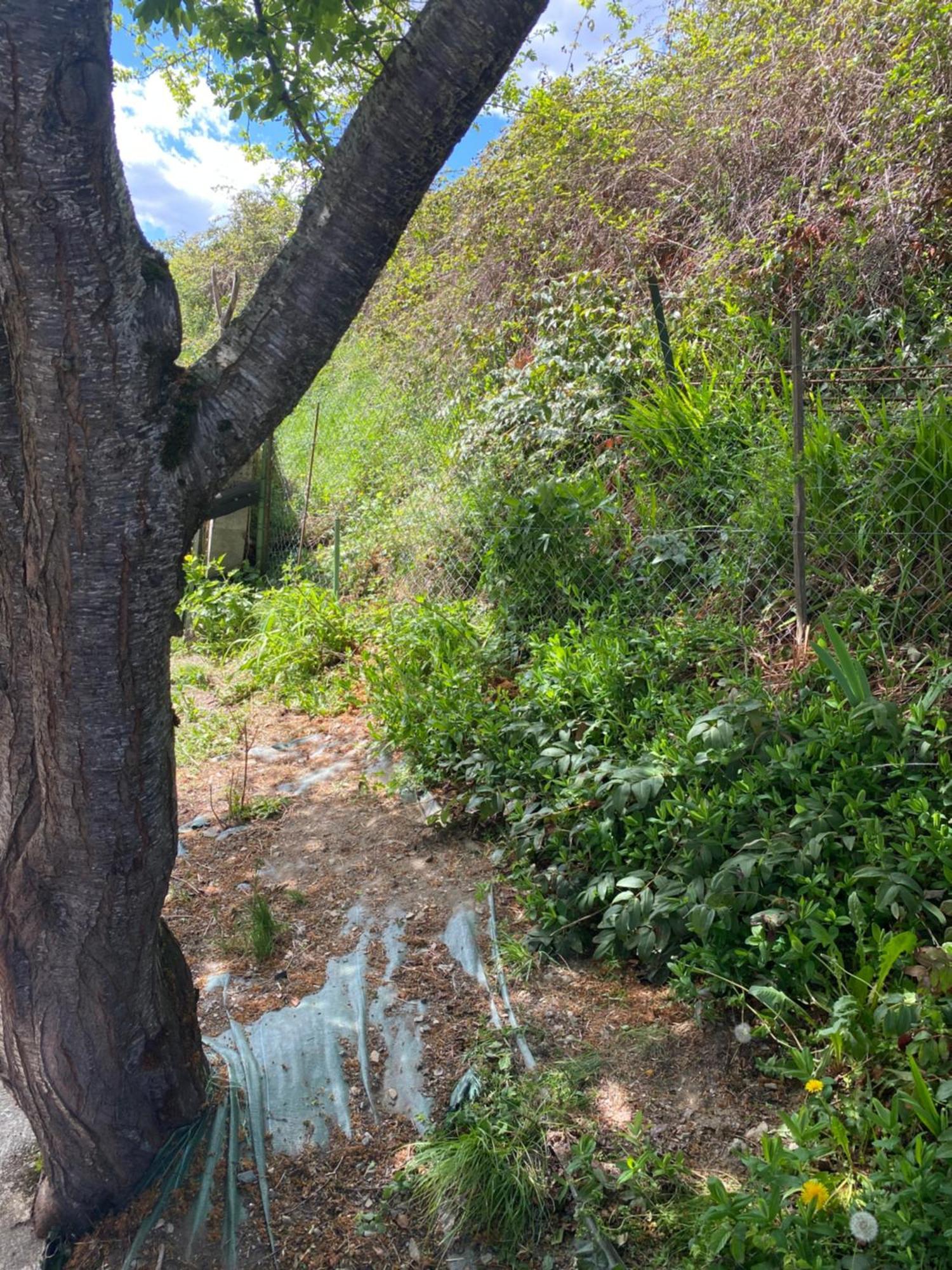 Maison Pyrenees Saint-Aventin Εξωτερικό φωτογραφία